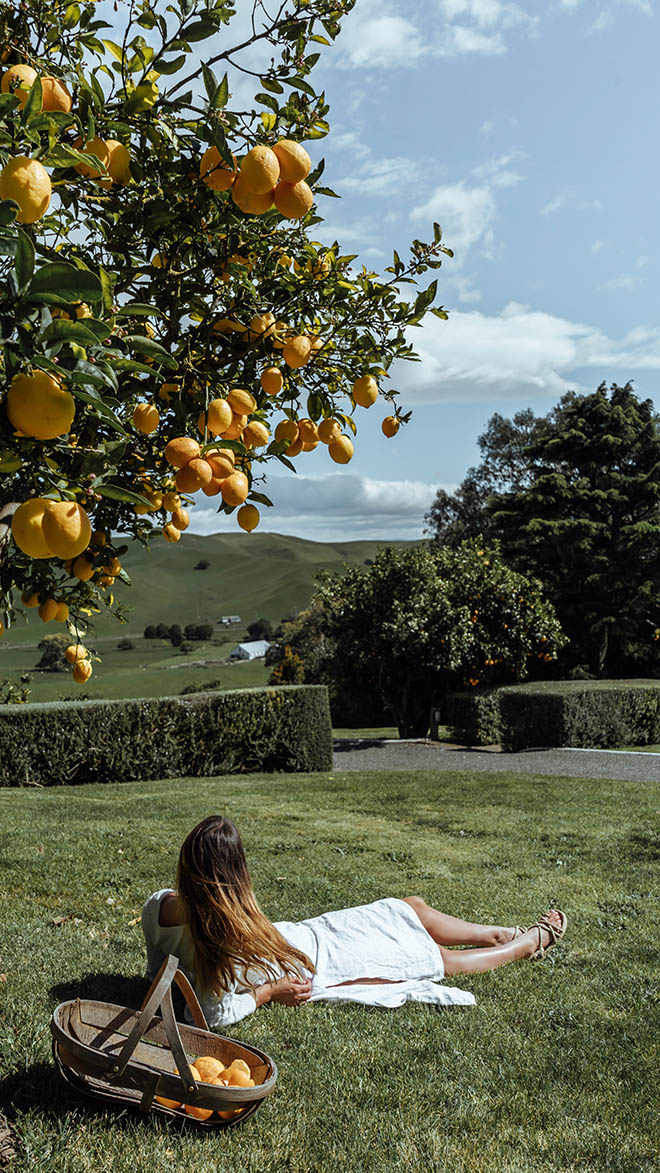 Best Rate Promise Terms & Conditions