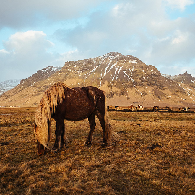 Luxury Hotels in Iceland