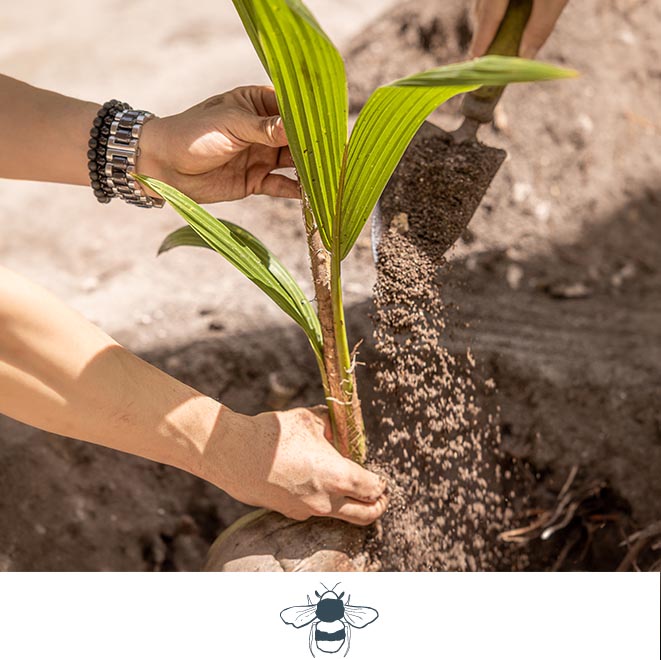 SLH Considerate Collection