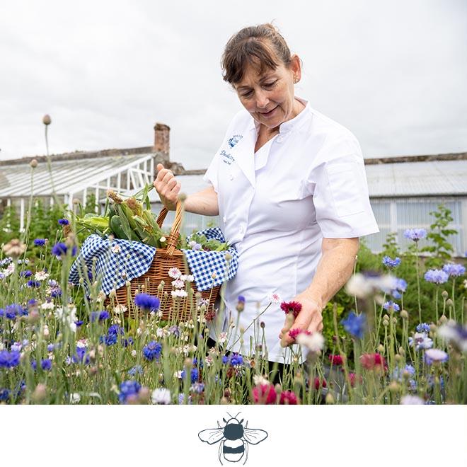 SLH Considerate Collection