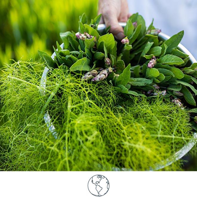 SLH Considerate Collection