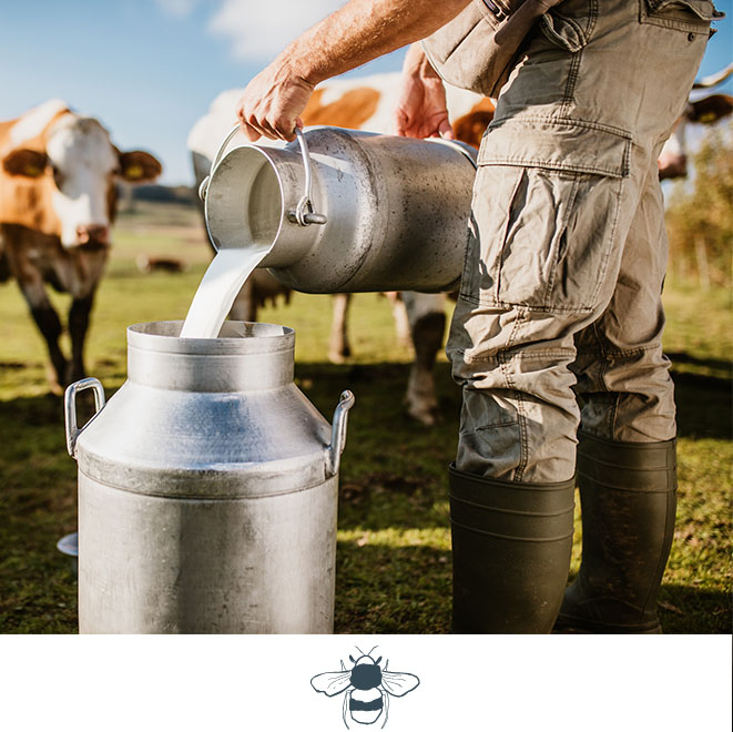 SLH Considerate Collection