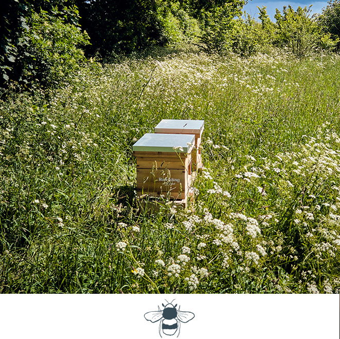 Calcot & Spa Community