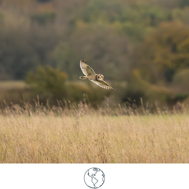 Calcot & Spa Environment 