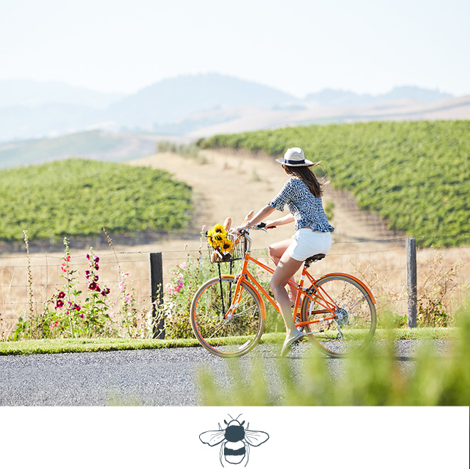 Carneros-Resort-and-Spa-Community