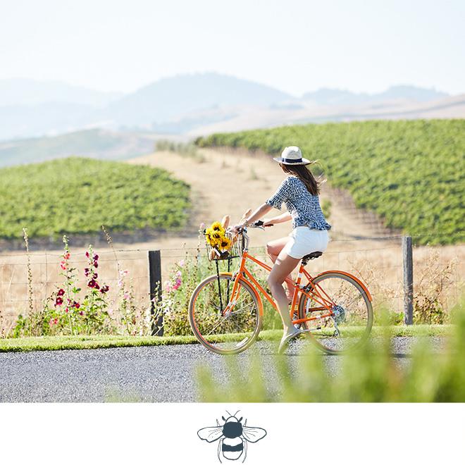 Carneros-Resort-and-Spa-Community