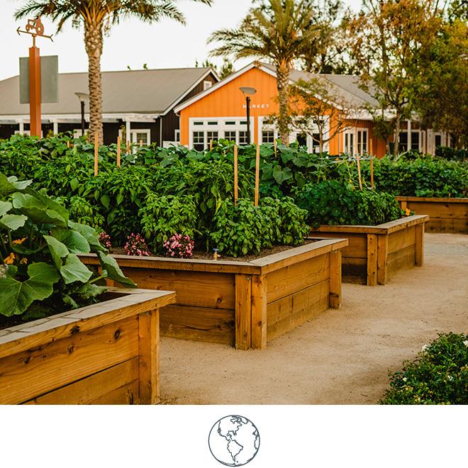 Carneros-Resort-and-Spa-Environment