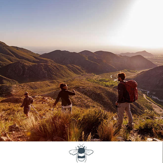 Casa-de-Uco-Community