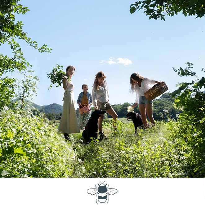 SLH Considerate Collection