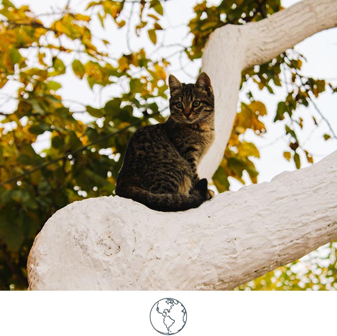 SLH Considerate Collection