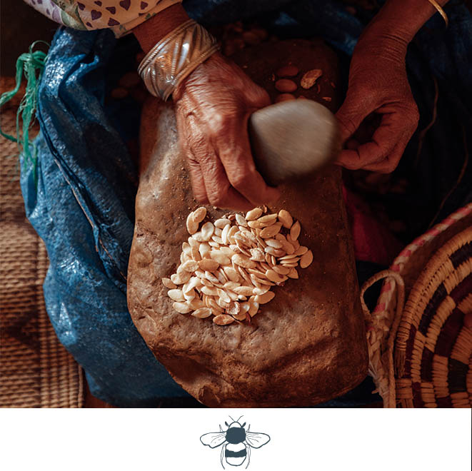 SLH Considerate Collection