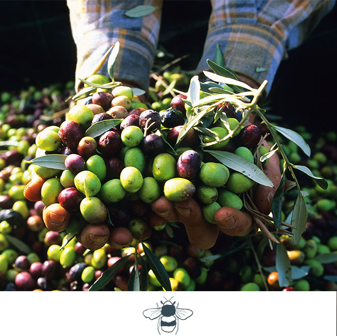 SLH Considerate Collection