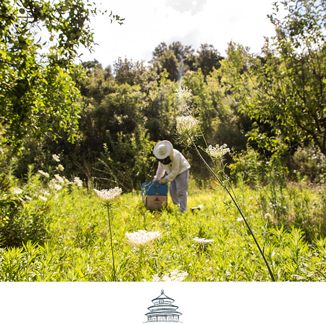 SLH Considerate Collection