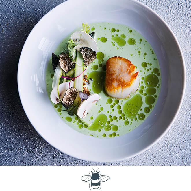 SLH Considerate Collection