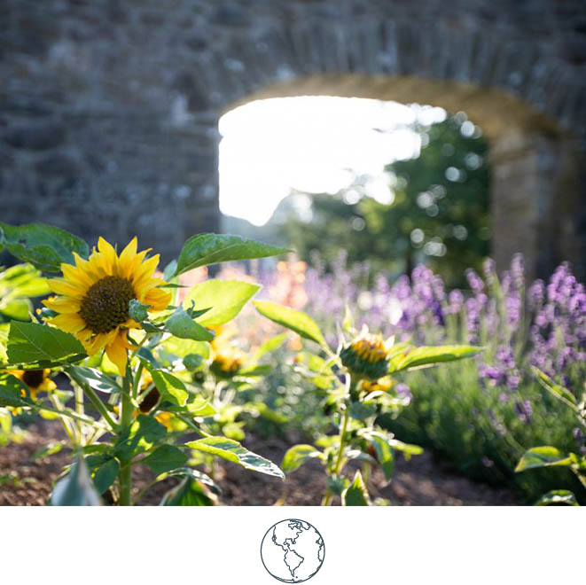 SLH Considerate Collection