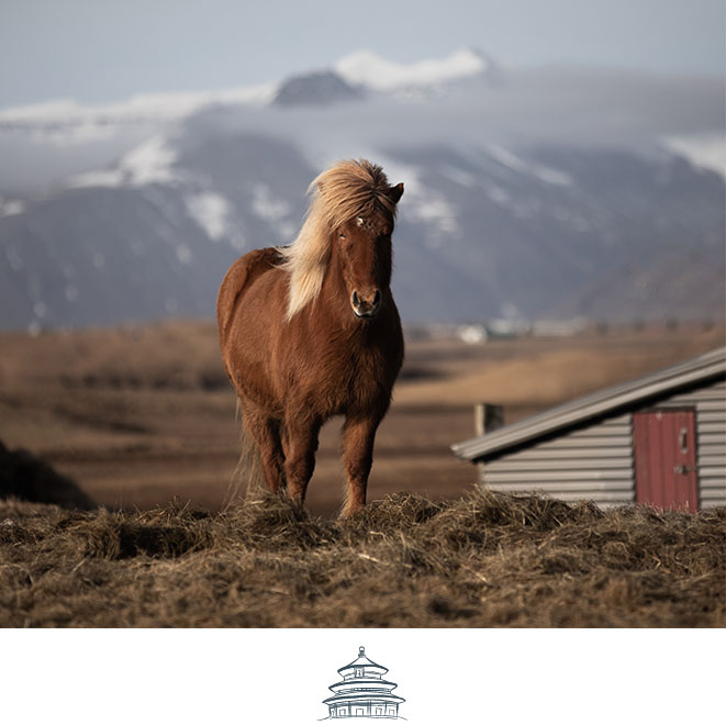 SLH Considerate Collection