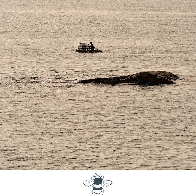 Kaipuu on the Reef Community