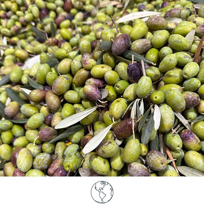 KestelINN-Environment