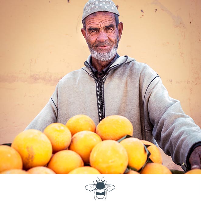 SLH Considerate Collection