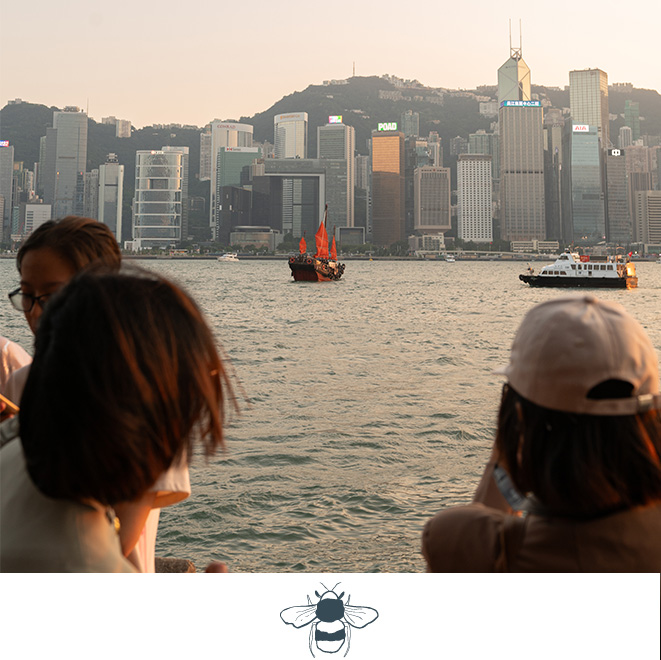 Lanson-Place-Community