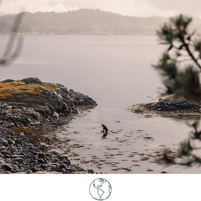 Lilløy-Lindenberg-Environment