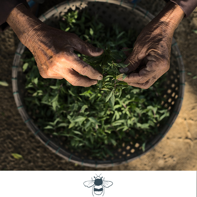 Namia River Retreat Cooking