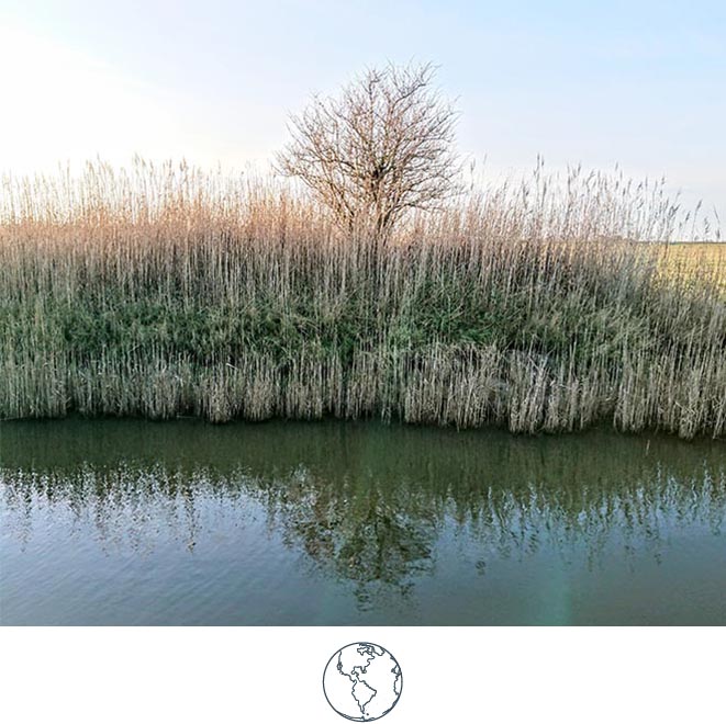 SLH Considerate Collection