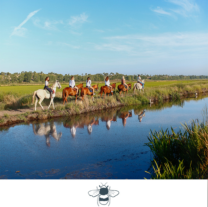 Quinta-da-Comporta-Community