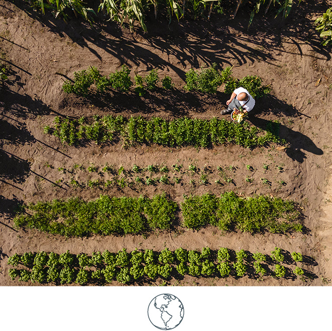 Quinta-da-Comporta-Environment