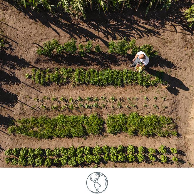 Quinta-da-Comporta-Environment