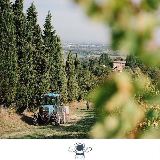 Relais Roncolo 1888 Community