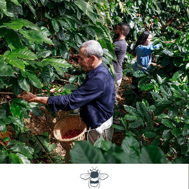 Senda Monteverde Community