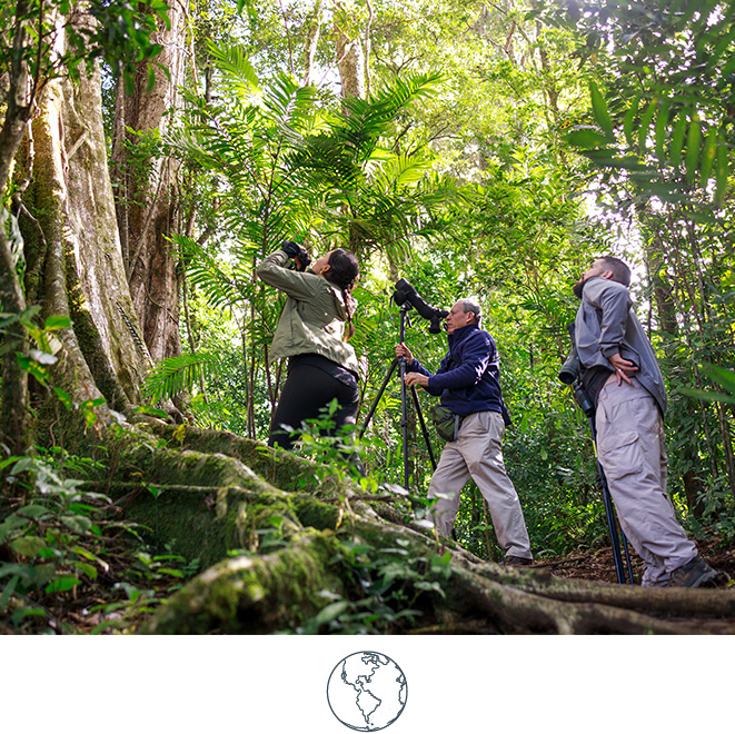 Senda Monteverde Environment