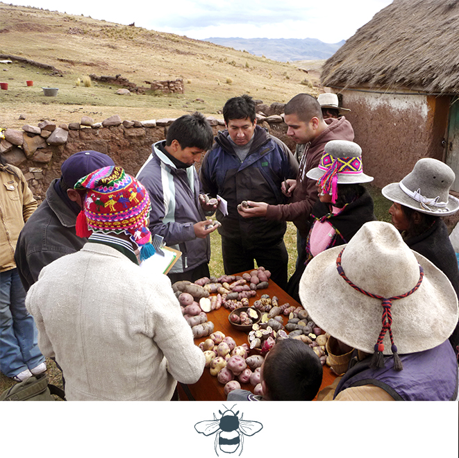 Sumaq-Machu-Picchu-Community