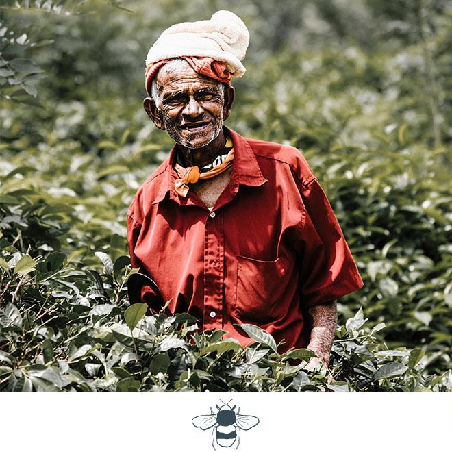 SLH Considerate Collection