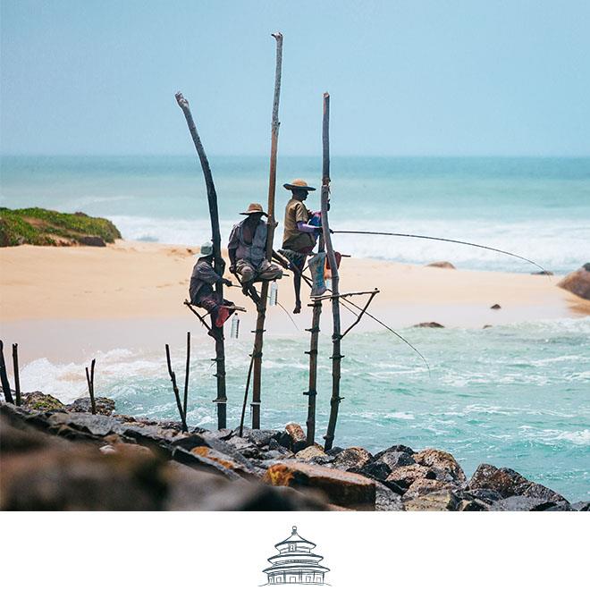 SLH Considerate Collection