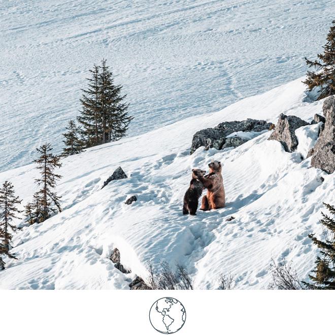 Valsana Arosa Environment