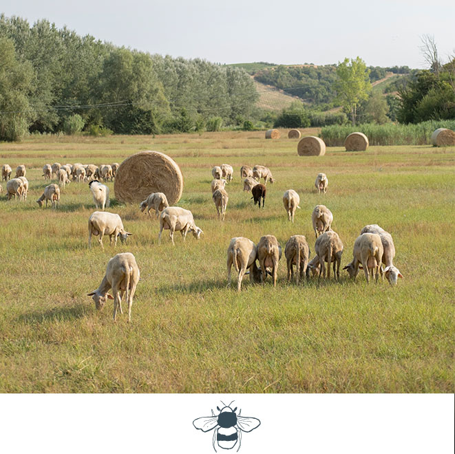 SLH Considerate Collection