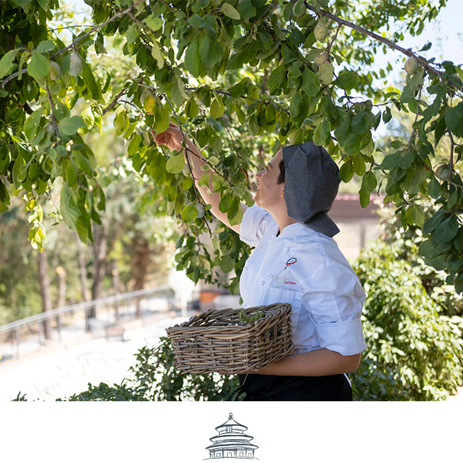 SLH Considerate Collection