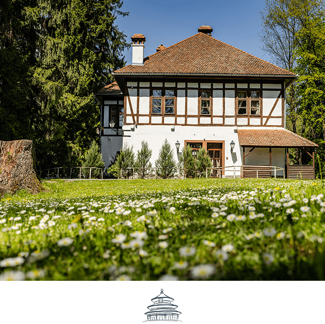 Zabola-Estate-Culture