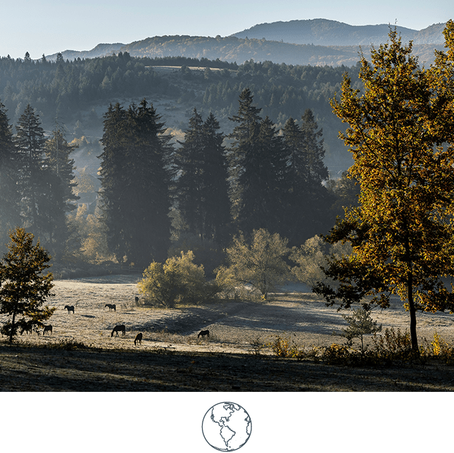 Zabola-Estate-Environment