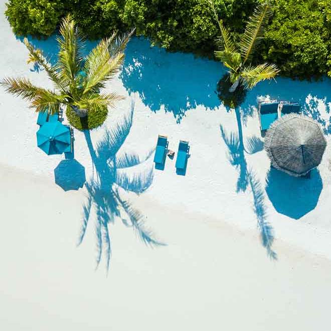 Indian Ocean Highlights Beach