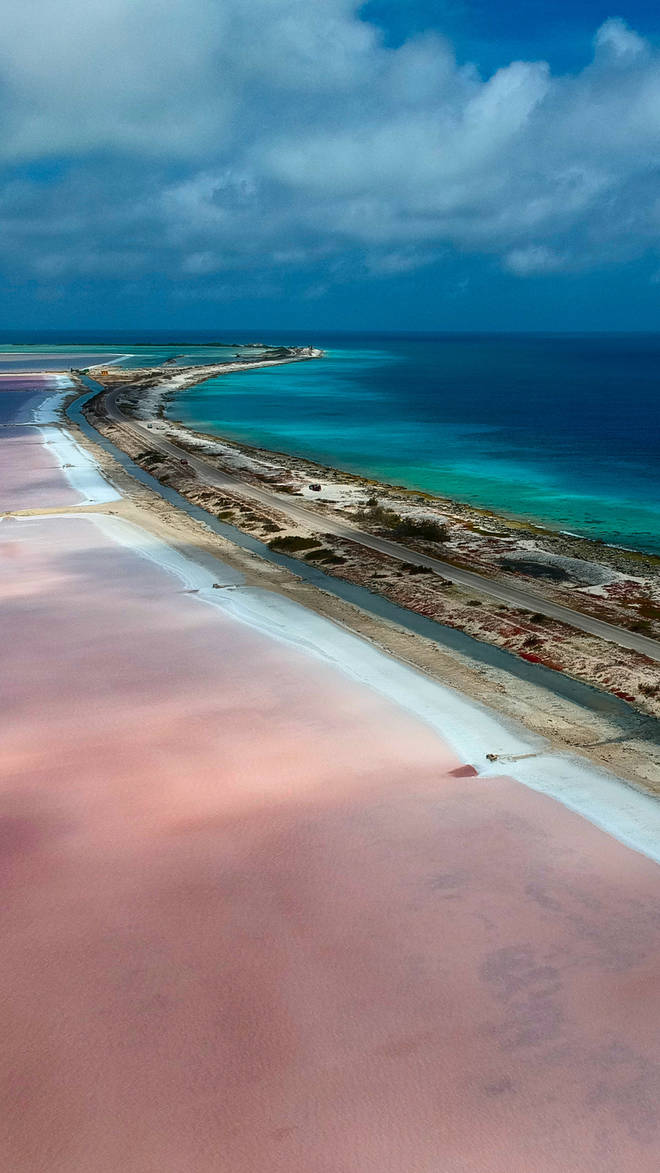 Bonaire