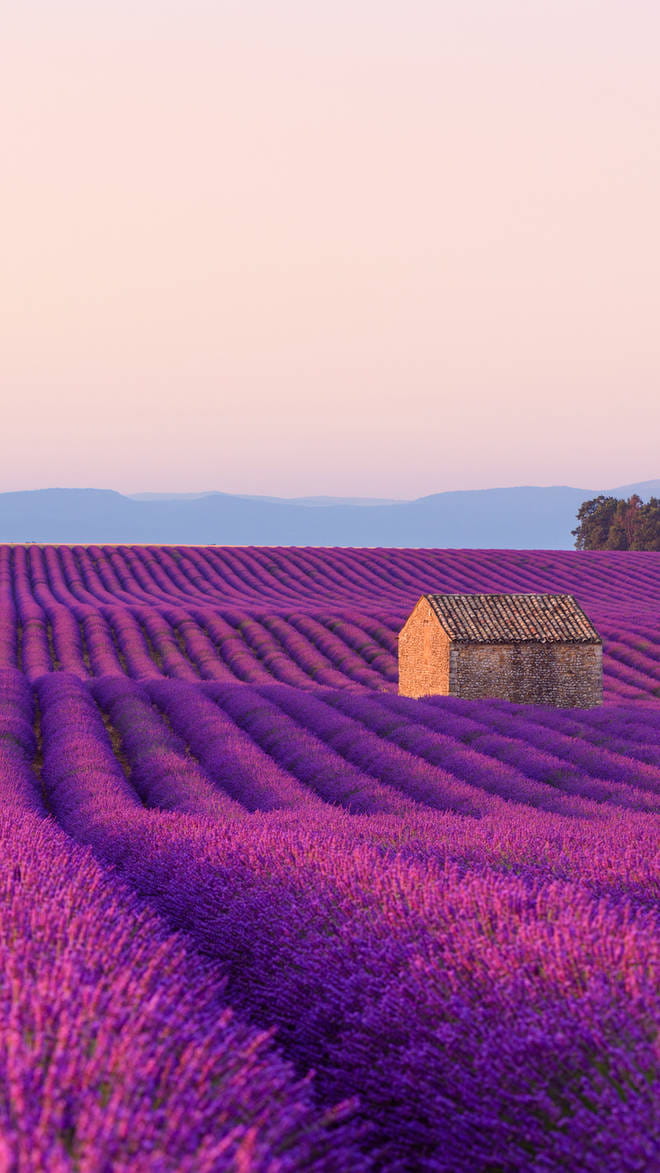 France
