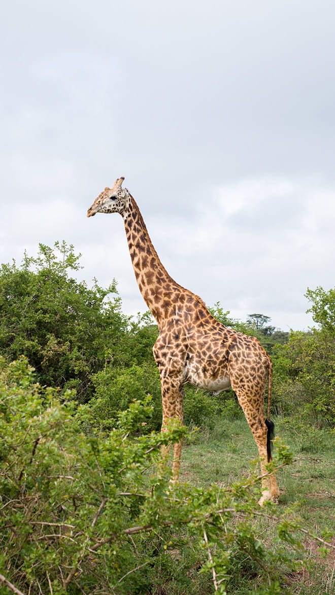 Kenya