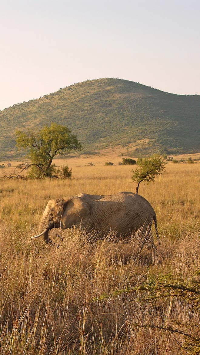 South Africa