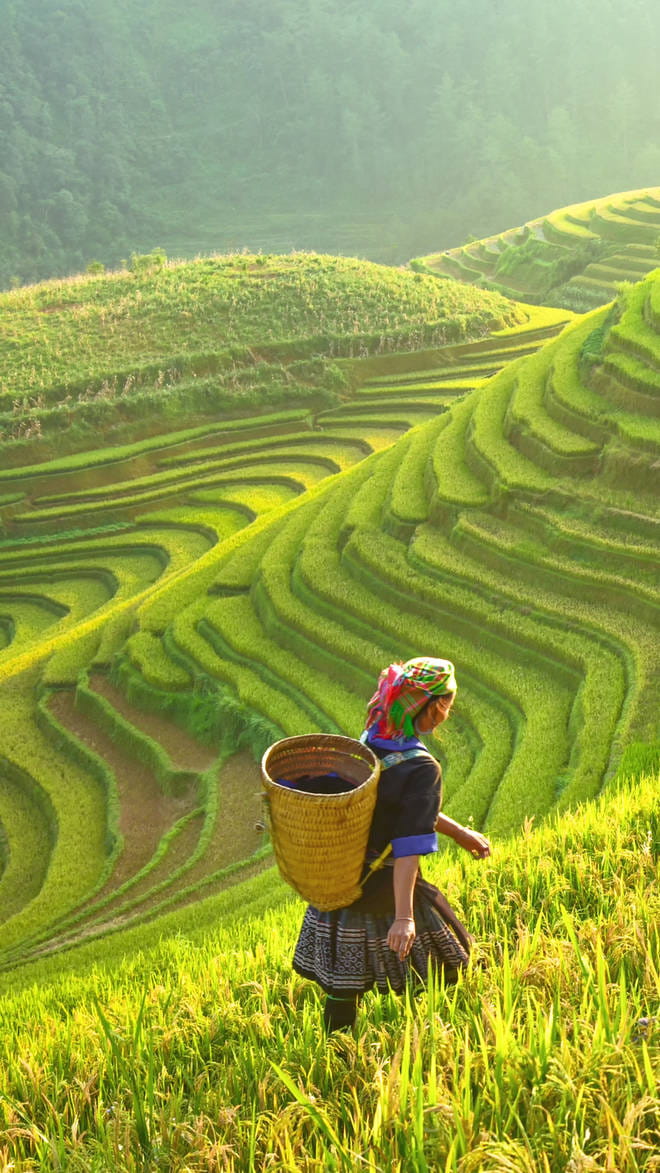 Vietnam
