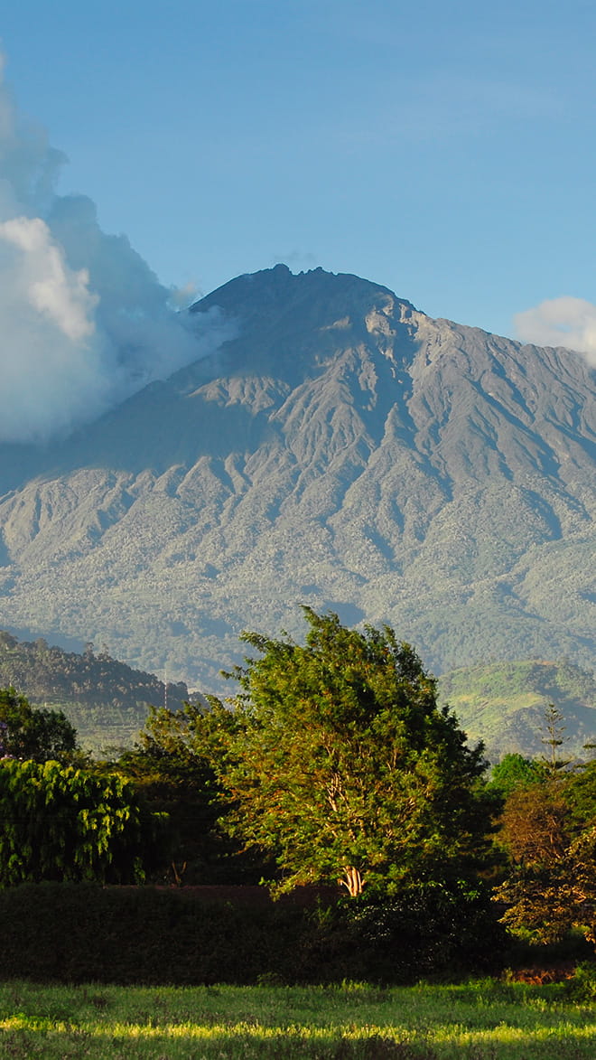 Arusha