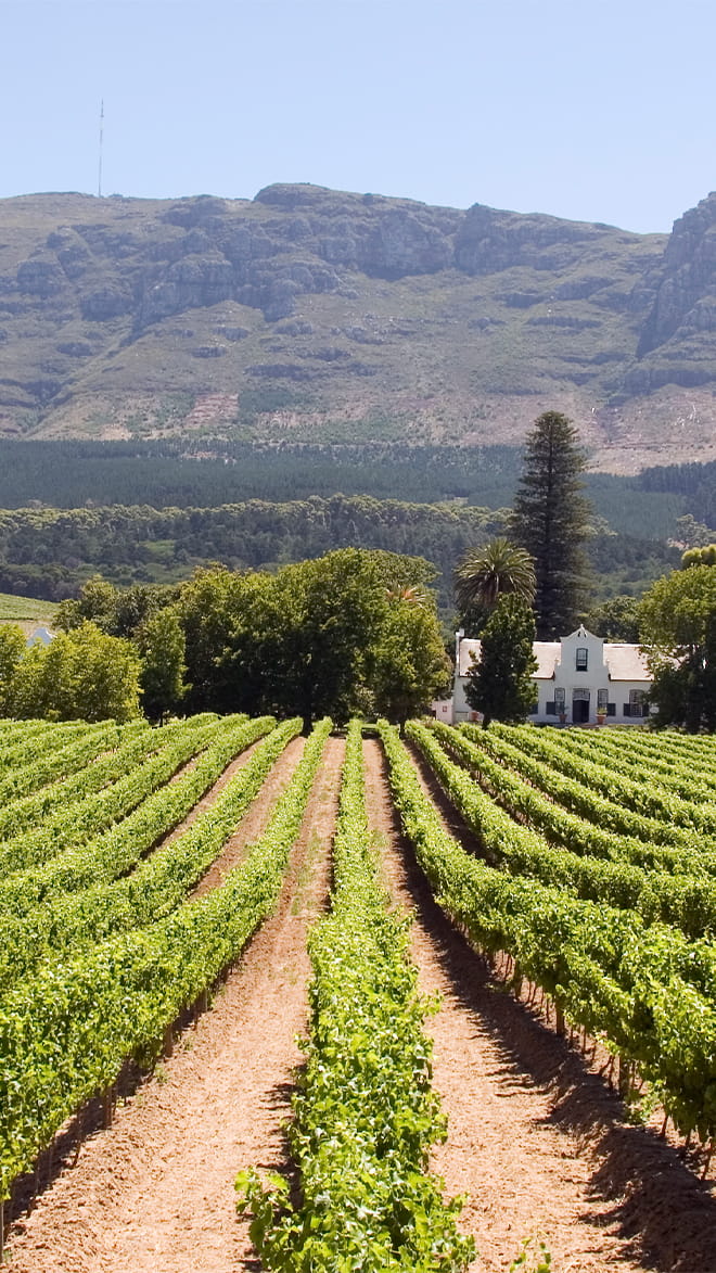 Franschhoek