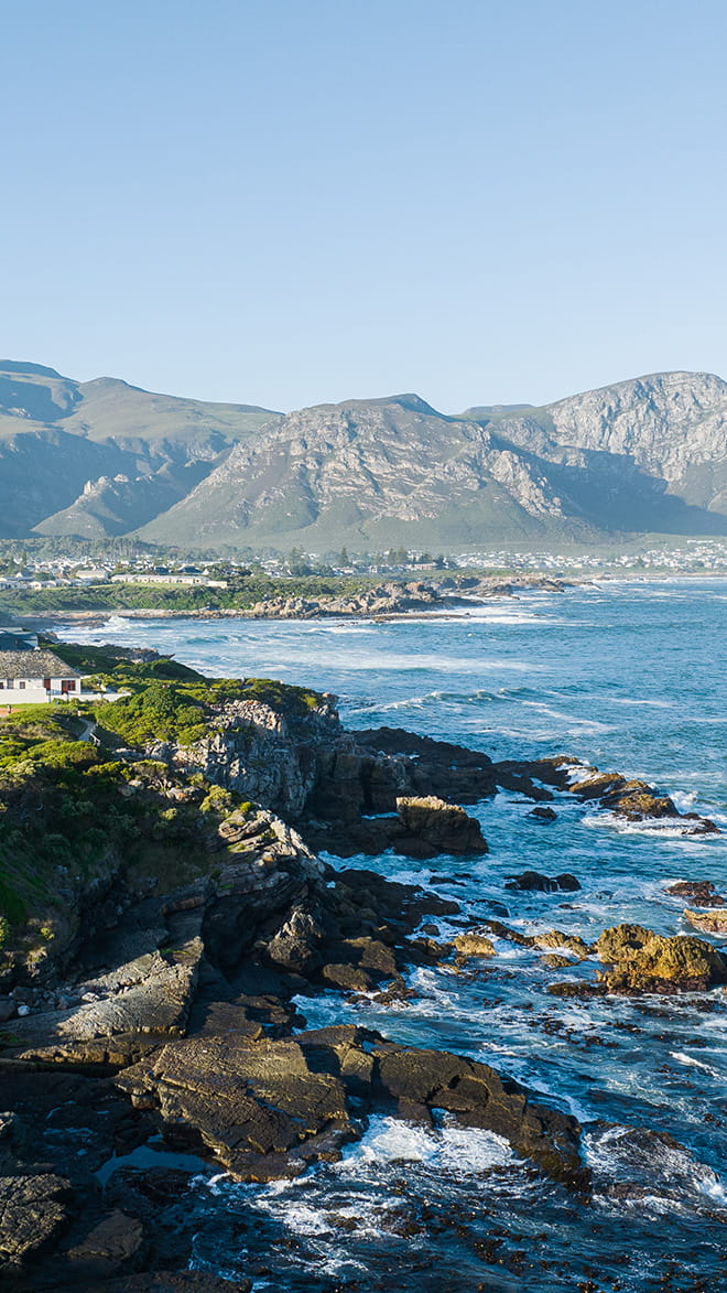 Hermanus